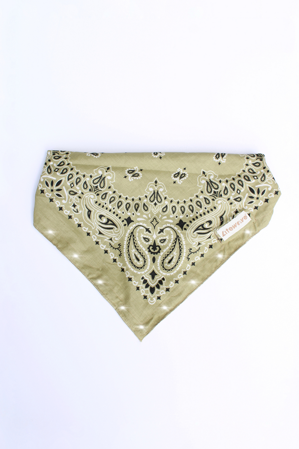 Thumbnail: Classic Paisley