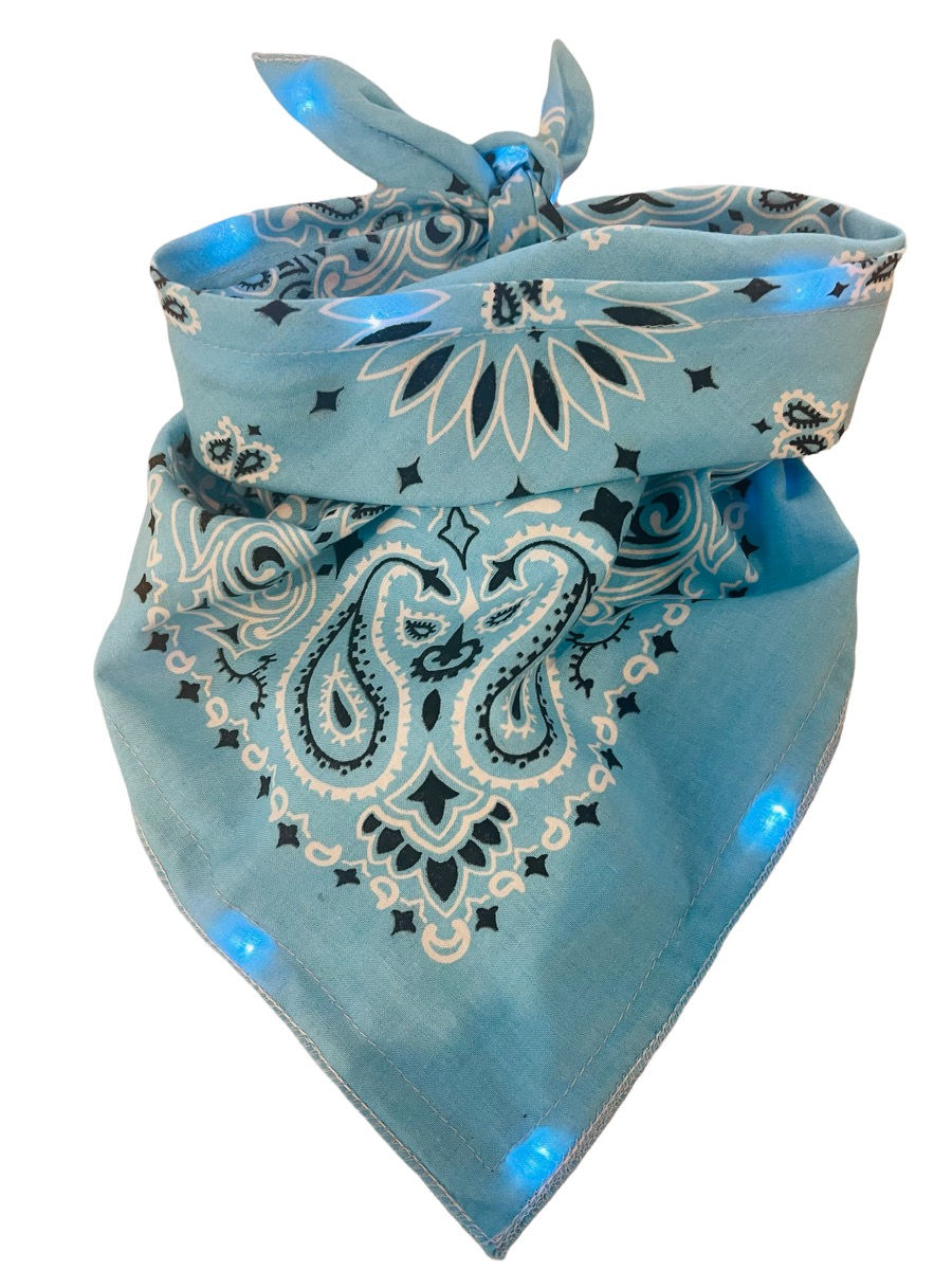 Thumbnail: Classic Paisley