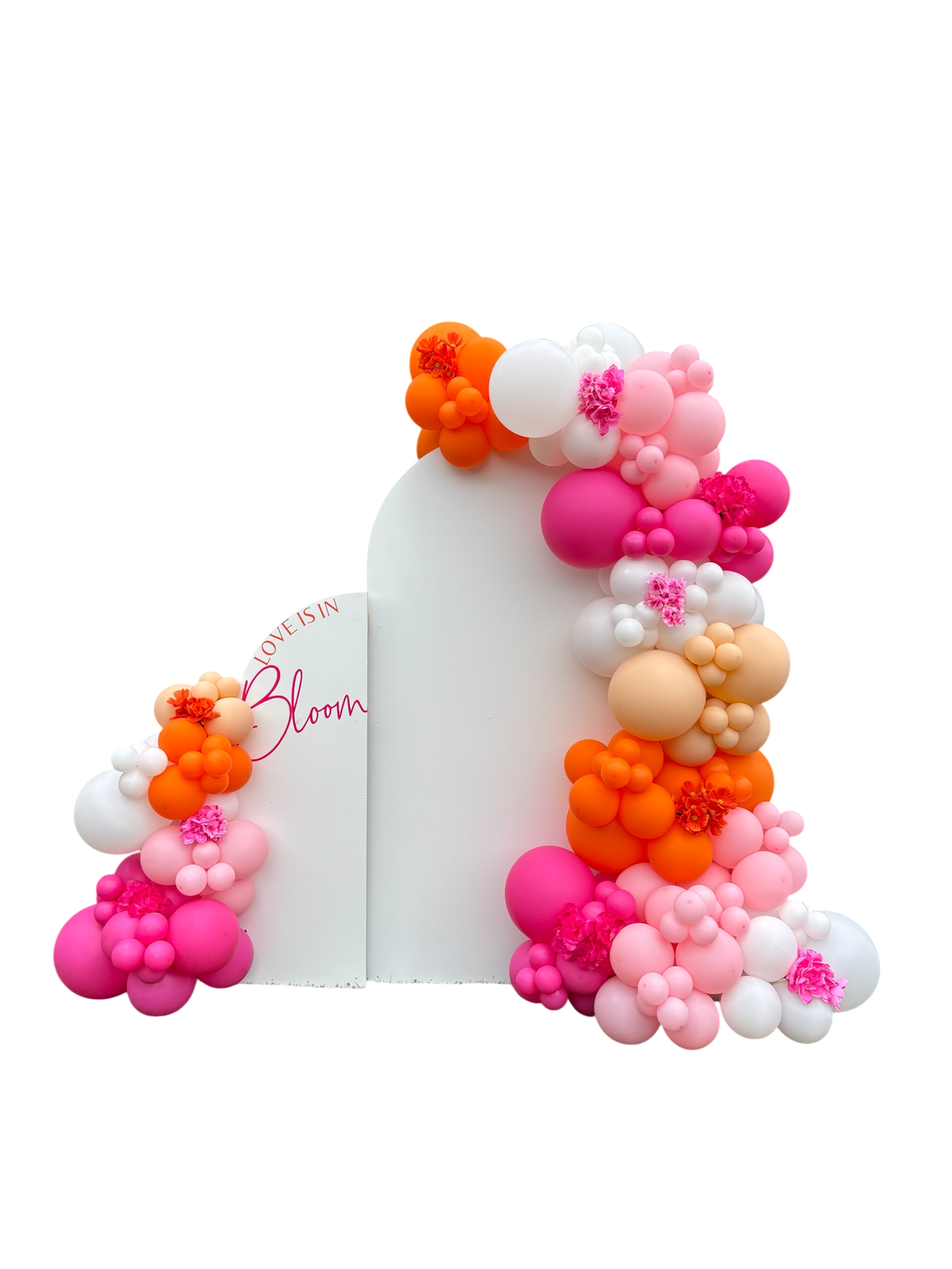BALLOON GARLAND