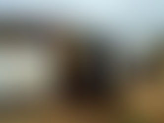 The Power of Two: Mercedes-Benz and Proenza Schouler unite for capsule collection