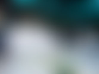 Minister Al-Sulaiti Inaugurates Autonomous e-Mobility Forum