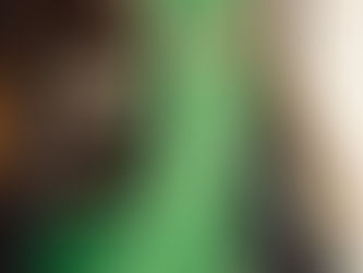 RALPH & RUSSO AND GEMFIELDS PARTNER TO CREATE COUTURE GOWN FORTHE GREEN CARPET FASHION AWARDS