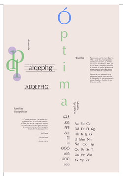 ÓPTIMA REVERSE