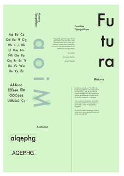 FUTURA REVERSE