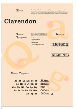 CLARENDON REVERSE