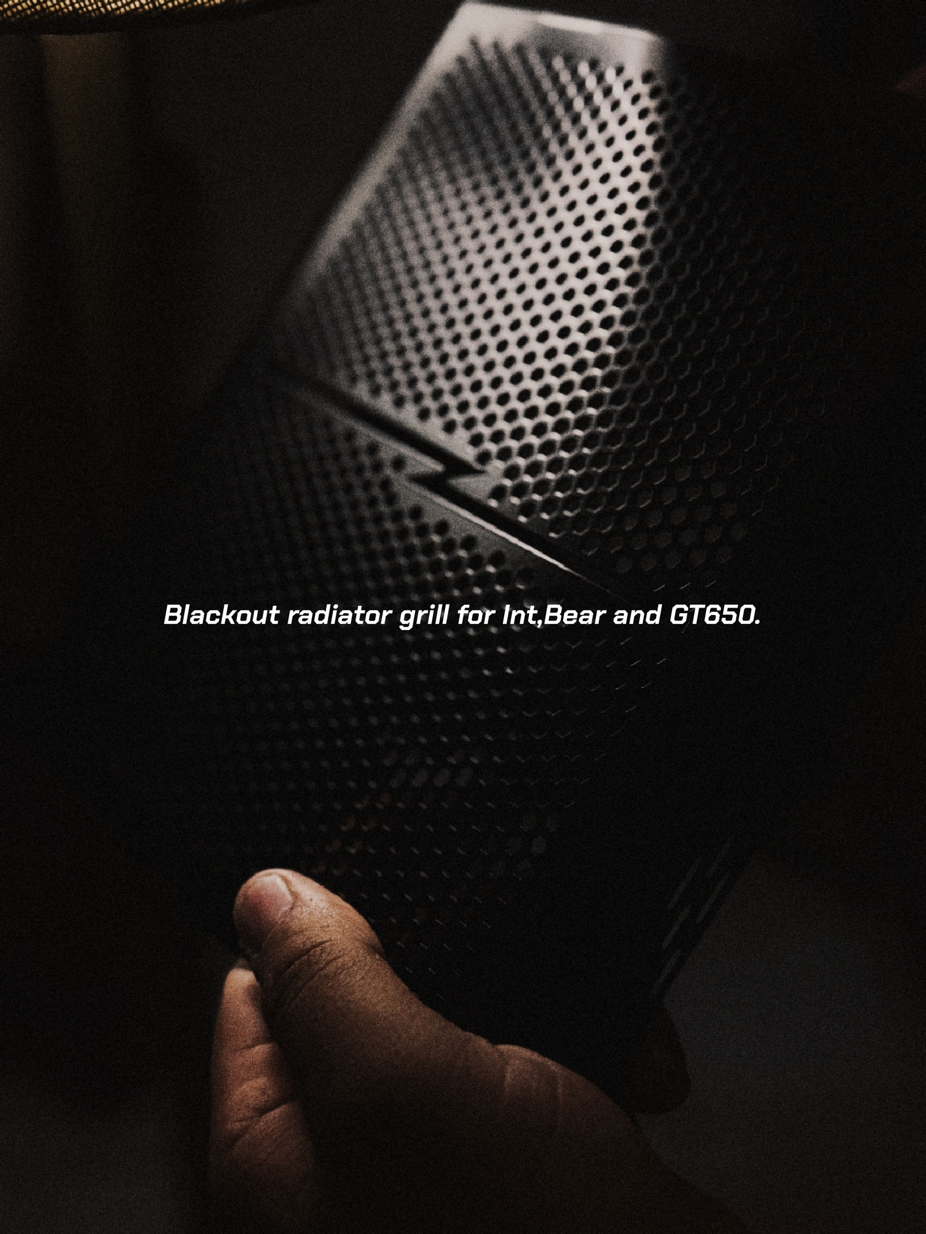 APEX Radiator Guard Blacked-out for Gt650, interceptor 650 and Bear 650.