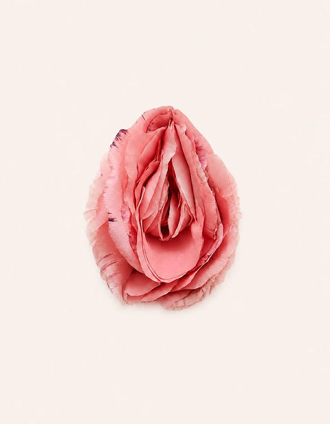 wombss.jpg