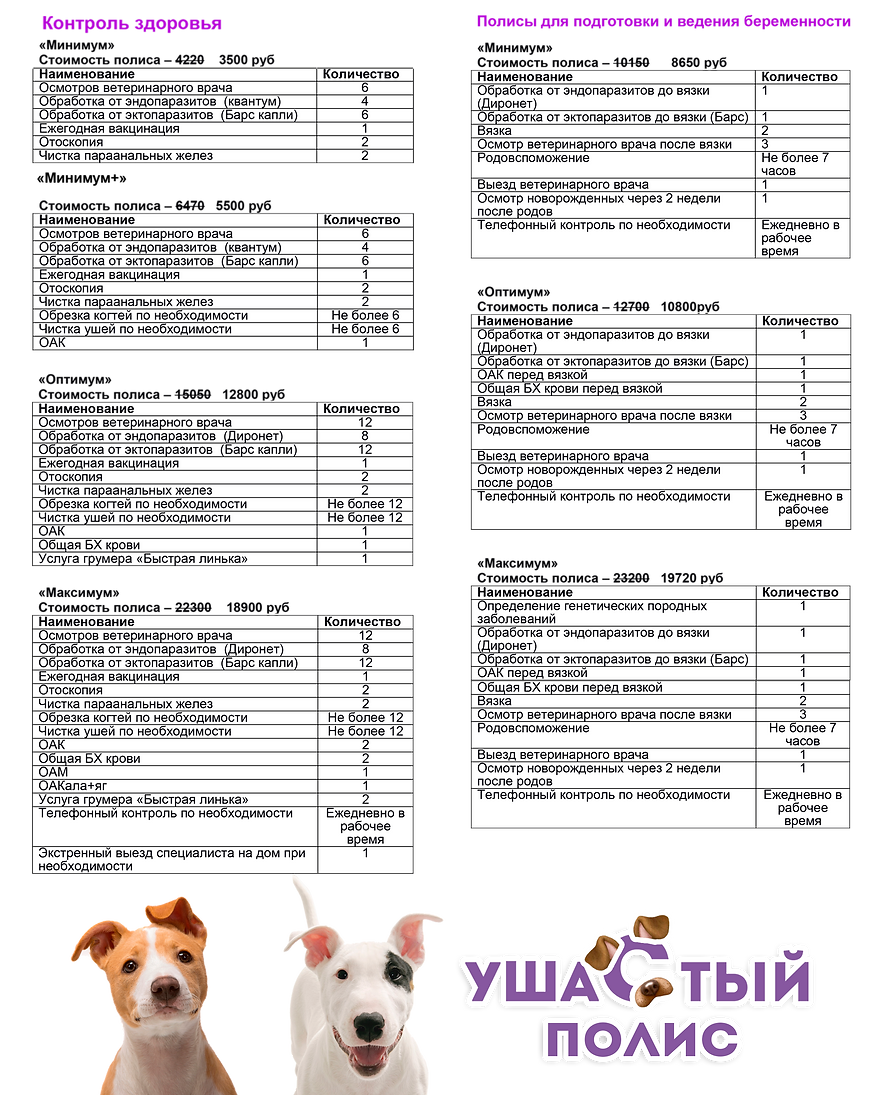 начинка флаер полис (1).png