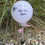 Miniaturbild: Solarlampe Muttertag