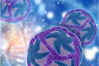 virus-zika.jpeg