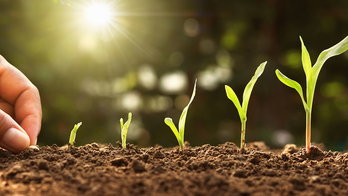 Explore the potential of your farmer groups (5).png