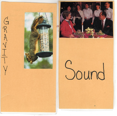 Science Alive Level 1-2 Flashcards