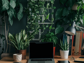 Ofislerde Yeşil Bir Dönüşüm: Çalışma Ortamınızı Daha Sağlıklı Hale Getirmenin 5 Yolu