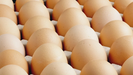 Yumurta Tebliğinde Önemli Değişiklikler Yapıldı... SKT Yerine TETT Getirildi.