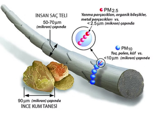 PM2.5 Nedir? Hava Kirliliğinin Akciğer Kanseri ve Erken Ölüm Üzerindeki Etkileri Neler?