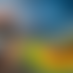 ÇED Raporlarında Gürültü Ölçümleri ve Gürültü Modellemesinin Önemi