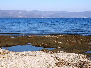 Çanlar Sapanca Gölü için çalıyor! Su seviyesi giderek azalıyor