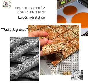 Formation-deshydratation-crusine-academie recettes | recette deshydratation Alimentation vivante oise | atelier alimentation vivante oise| stage alimentation vivante oise | formation alimentation vivante oise | crusine oise compiegne | stage crusine oise | atelier crusine oise | douceurs crues oise compiegne | douceurs crues alimentation crue oise | douceurs crues cuisine crue oise | crusine academie stage oise | irene grosjean alimentation vivante crusine oise stage formation cuisine crue | alimentation crudivore oise compiègne douceurs crues| atelier cuisine végétarienne crue oise| cuisine vivante stage atelier compiegne oise douceurs crues | Douceurs crues Nathalie Boez naturopathe sainte geneviève oise compiegne atelier cruisine crue | 