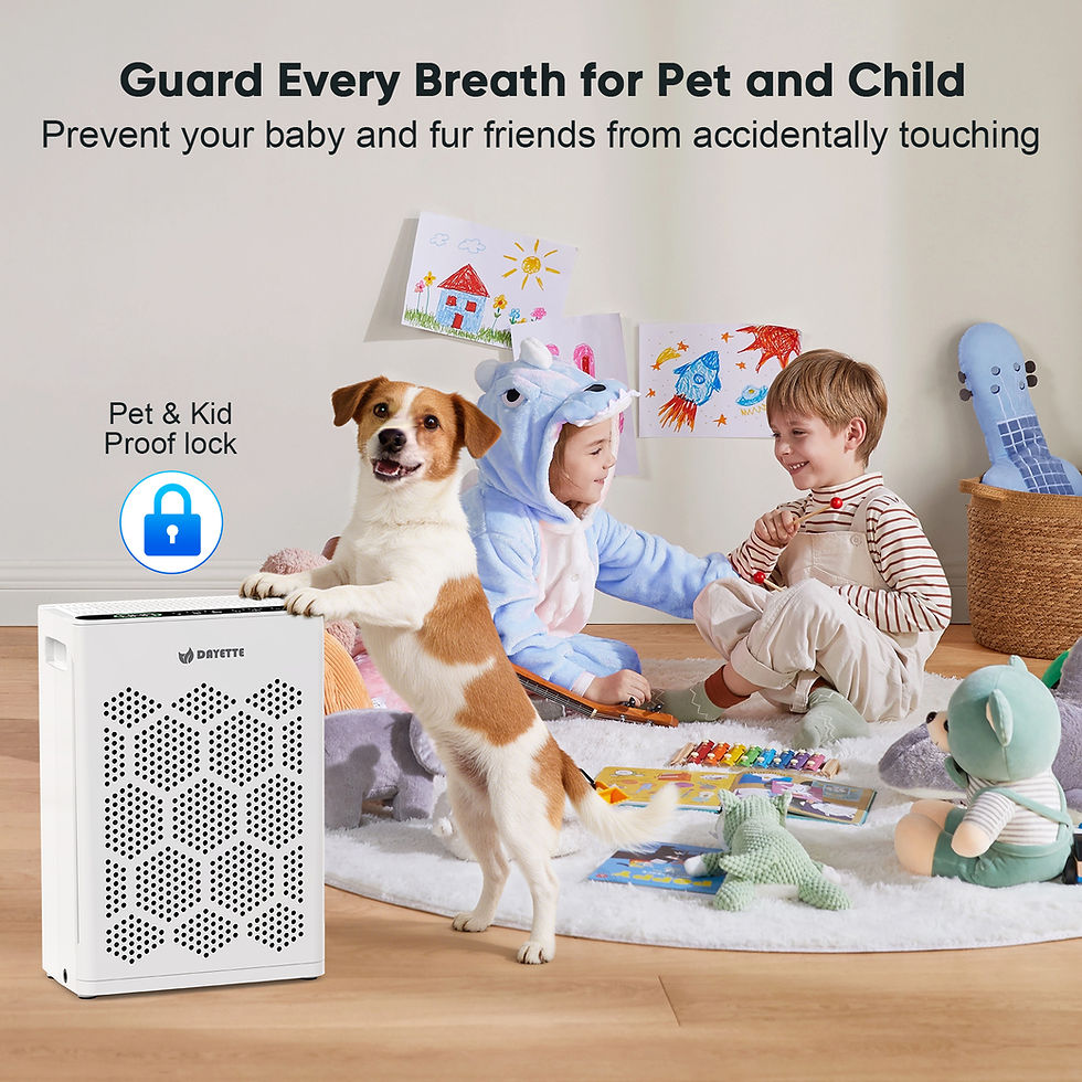 Thumbnail: DAYETTE AP309 Air Purifier for Large Room Pets