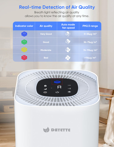 AP301 True HEPA Air Purifier for Large Room up to 2200 sqft