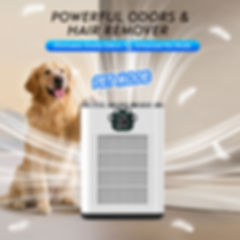 DAYETTE AP308 Air Purifiers for Home Large Room with Dual Sensor