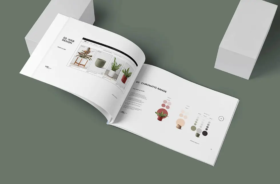 Manual de identidad, Branding México