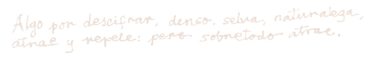 HN-H1-Fondo2.png