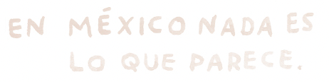 HN-H1-Fondo4.png