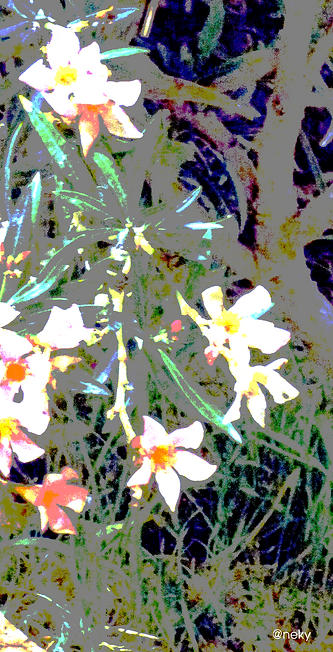 natur.png