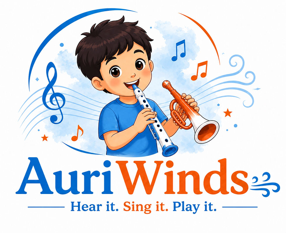 AuriWinds Introductory Workshop (EOI only)
