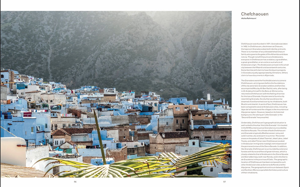 Miniature : Children of Al-Andalus