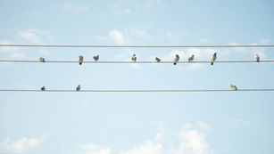 Communicating to Executives