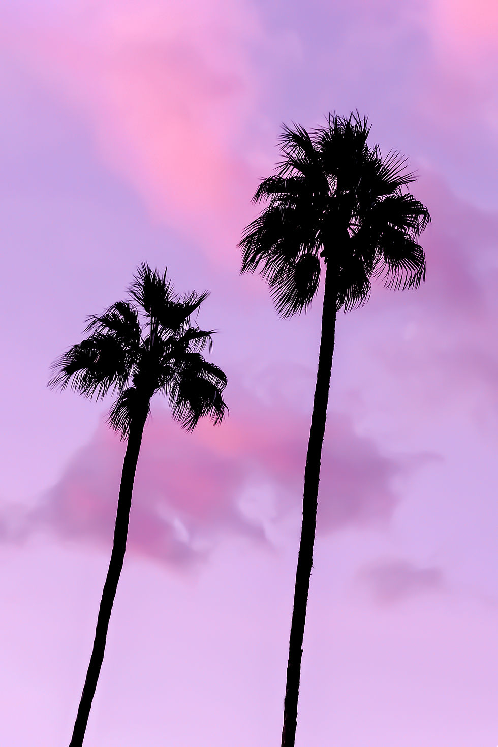Twin Palms Sunset