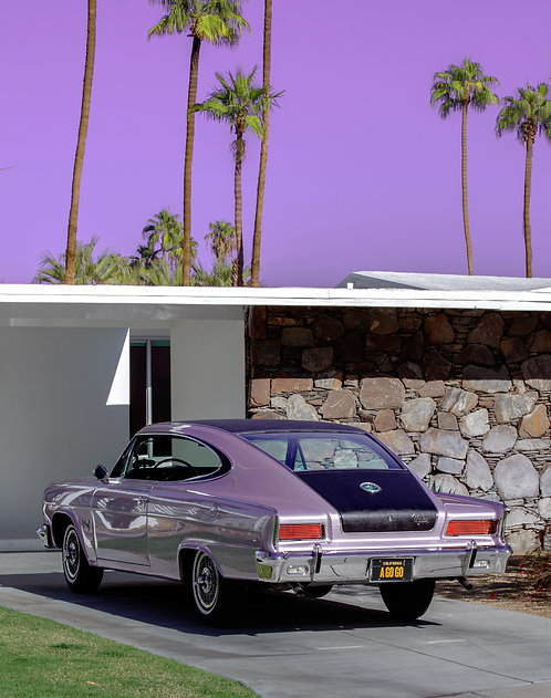 Purple Marlin