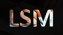 LSM Logo.jpg
