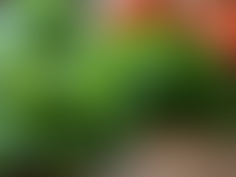 The Role of Aromatics in Elevating Culinary Experiences