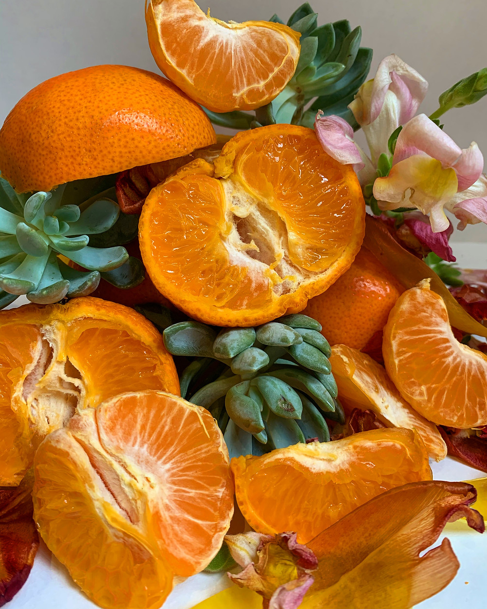 Vitamin C and Oranges