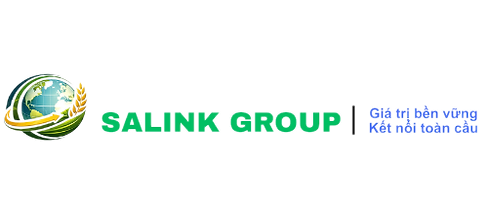SALINK GROUP.png