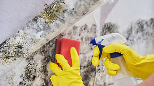 Housekeeper's Hand With Glove Cleaning M