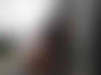 solar shading, brise soleil, aerofoil, solar fin, palmet, ppc, powder coated, aluminium, first fix brackets