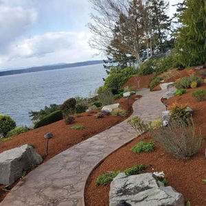 Tranquil Lakeside Pathway