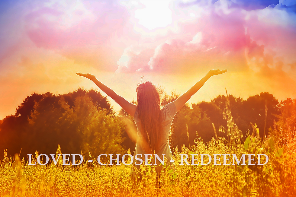 The Ultimate Life The Ultimate Life