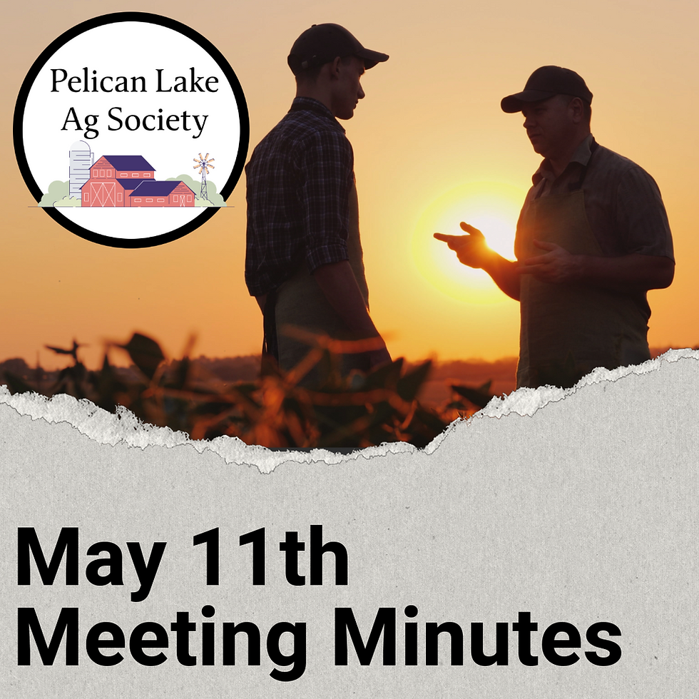 Meeting Minutes May 11, 2026