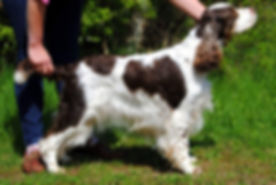 received_1706981689381778.jpeg
