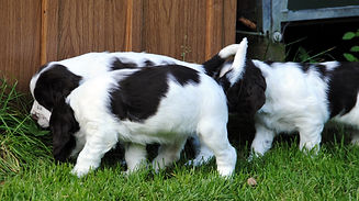 DSC_0008_edited.jpg