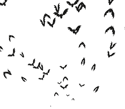 ecd64ff363965d499c45bb74cf490d36.gif
