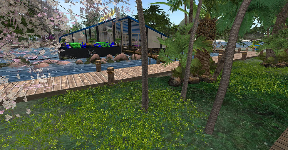 Snapshot_013