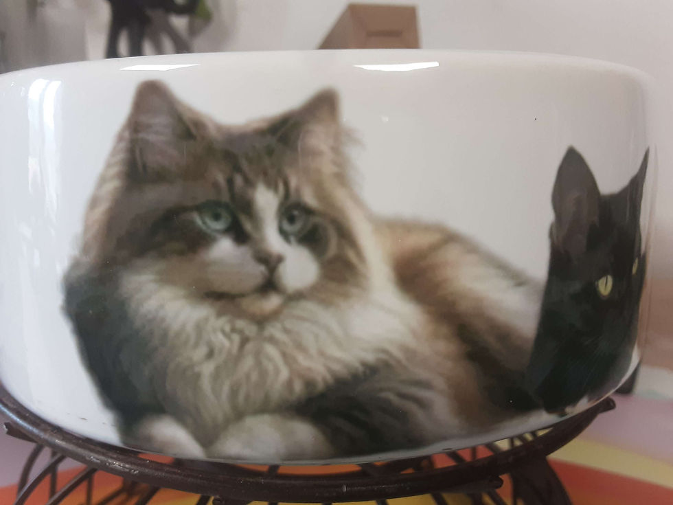 Miniature : Gamelle chat avec 8 photos 🐱  Personnalisation possible avec prénom et/ou photo