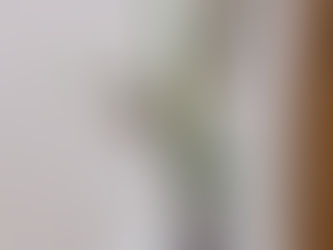 生け花教室がありました&境内整備をしていただきました