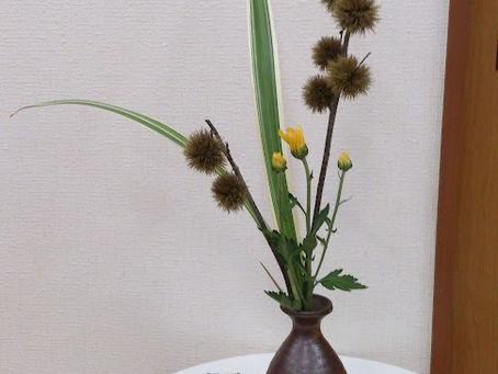 生け花教室がありました&境内整備をしていただきました